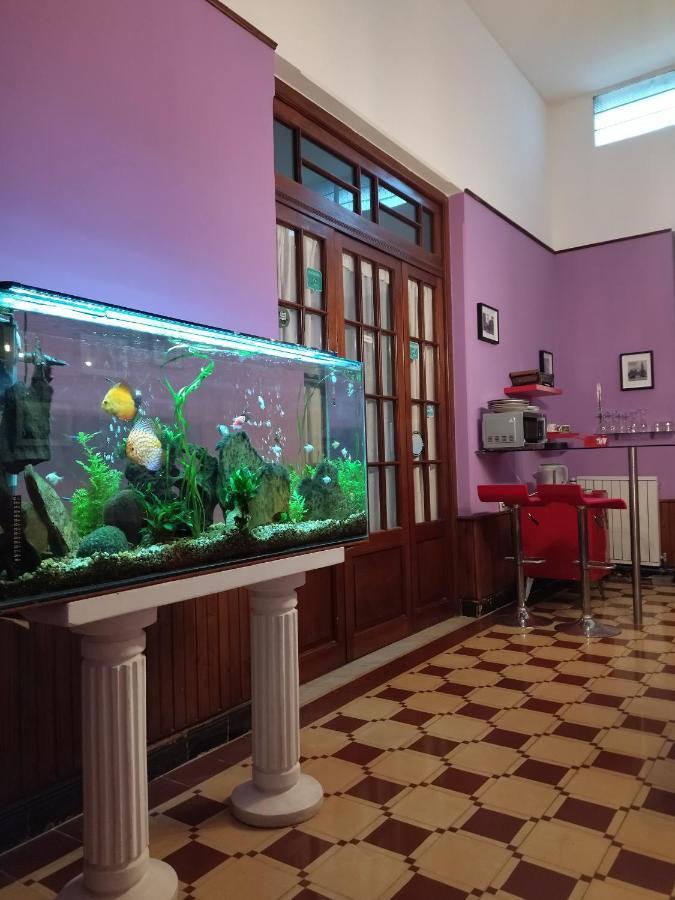 Cane B&B มอนเตวิเดโอ ภายนอก รูปภาพ